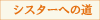 �V�X�^�[�ւ̓�