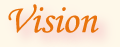 vision