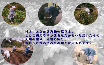 ��n�̌b�݁A�J���̎���