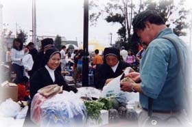 �V�X�^�[�̖�؂P