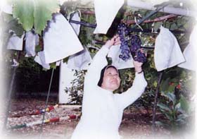 ����핒��