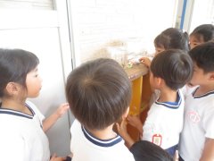 IMG_1581.JPG