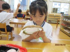 IMG_0537.JPG