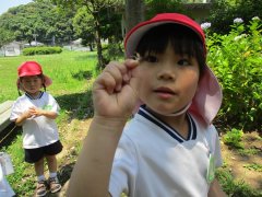 IMG_0851.JPG