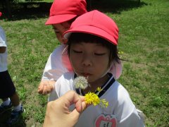 IMG_0859.JPG