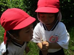 IMG_0860.JPG