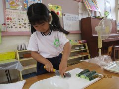 IMG_0506.JPG