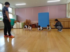 DSC06320.JPG