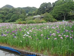DSC06353.JPG