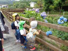 DSC06376.JPG