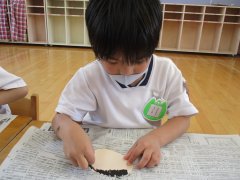 IMG_0738.JPG