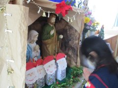 IMG_7377.JPG