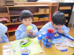 IMG_7705.JPG