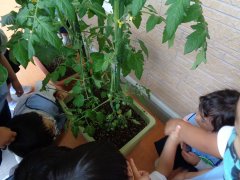 DSC04377.JPG