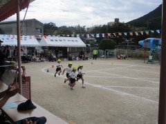 IMG_2518.jpg