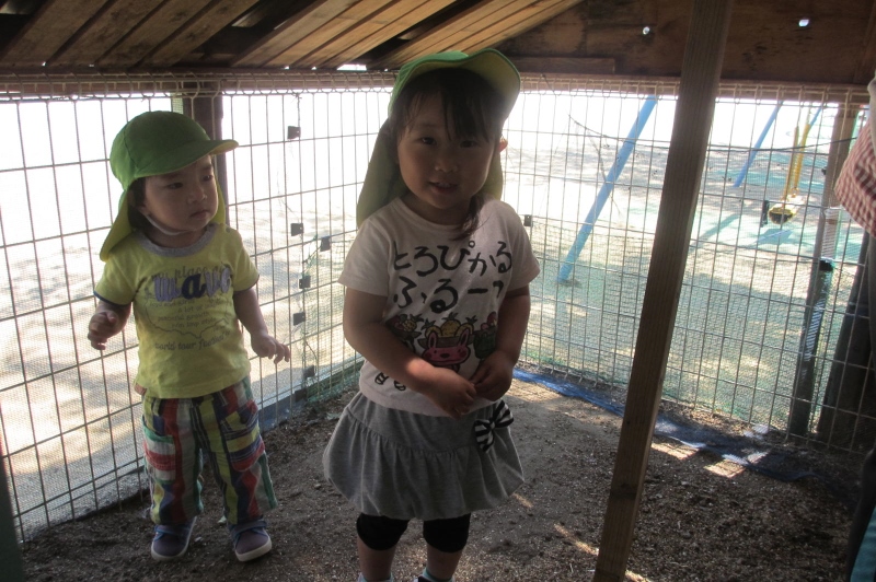 ファイル 483-1.jpg