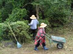 那須の家の草刈り作業