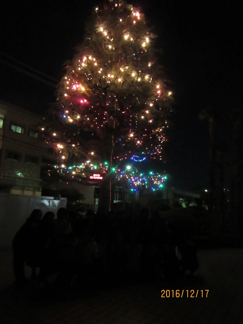 ファイル 29-3.jpg