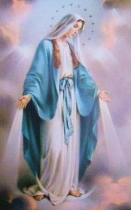 無原罪の聖マリアの祭日　誓願更新のミサ