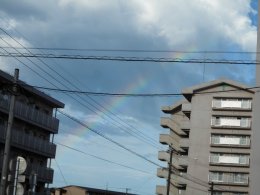 　～連日の虹～