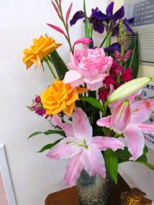 IMG_3468.JPG