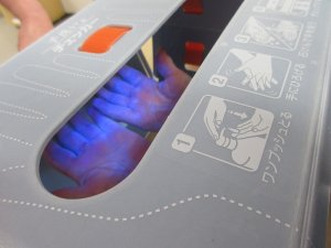 IMG_3533.JPG