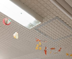 IMG_20260908_101633.jpg