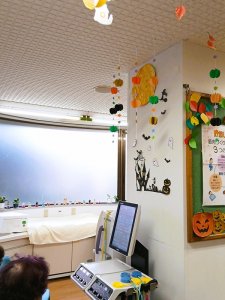 IMG_20261020_083744.jpg