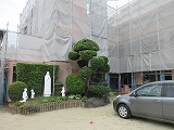 IMG_9603.jpg IMG_9603.jpg