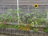 IMG_9605.jpg IMG_9605.jpg