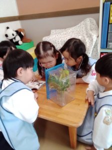５月のさんしきすみれ組