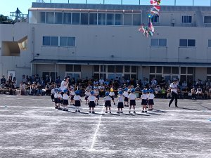 15.JPG
