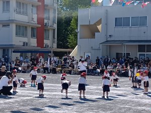 33.JPG