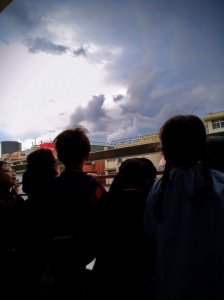 *11月のべにばら組*