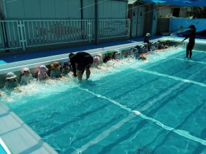 IMG_2026-06-16-10-14-41-373.jpg