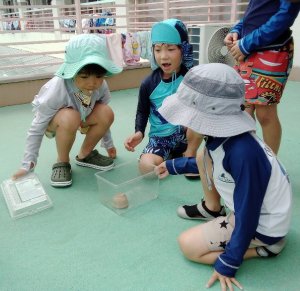 IMG_2026-06-19-13-07-41-202.jpg