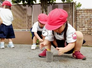 IMG_2026-07-01-13-10-45-110~3.jpg