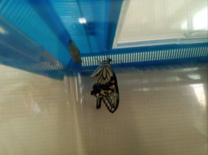 IMG_20260624_084825.jpg