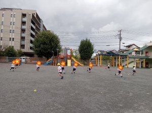 IMG_20260909_103358~2.jpg