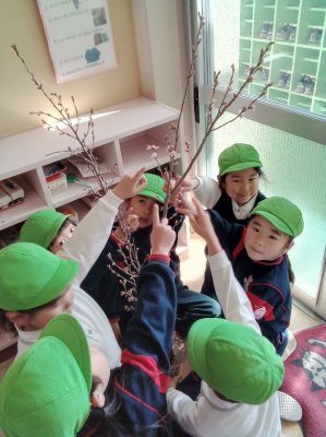 ＊2月のしろばらぐみ＊