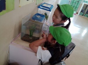 ７月のさゆり組