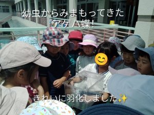IMG_2026-06-16-10-50-56-804~2.jpg