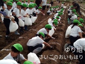 年長組☆おいもほり遠足