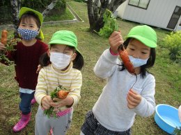 人参ゼリーを作ったよ！（きりん組）