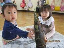 竹の子見たよ！（うさぎ組）