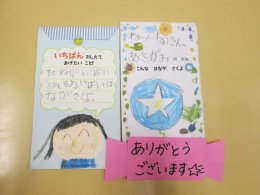 朝顔の種が届いたよ！