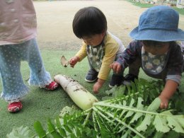 季節のスープ作り