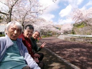 お花見ドライブ