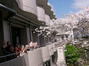 紅葉寮の桜も満開
