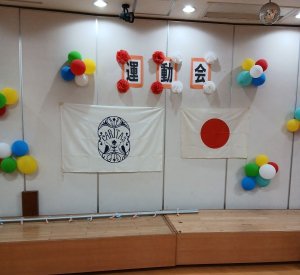 29.jpg